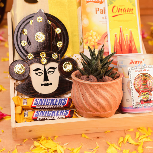 Succulent Plant in Ceramic Pot | Natural Vitality