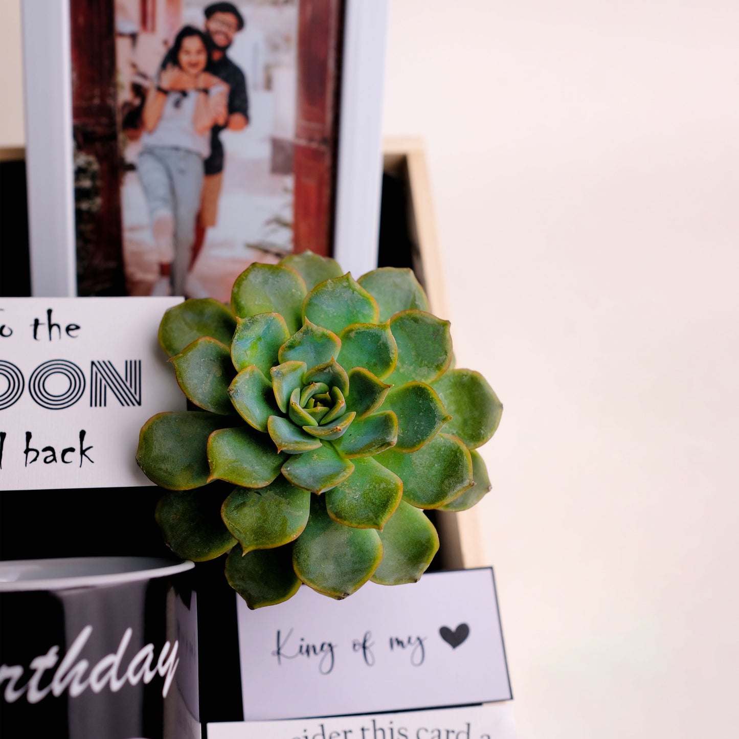 To the Moon and Back Gift Hamper Indoor Succulent Plant in Ceramic Pot | Growing Affection